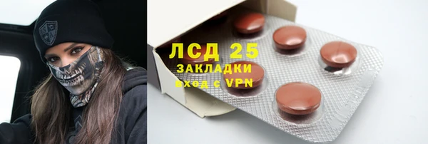 таблы Гусев