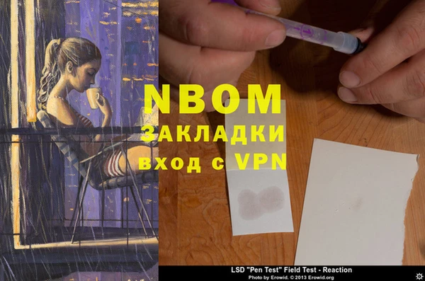 таблы Гусев