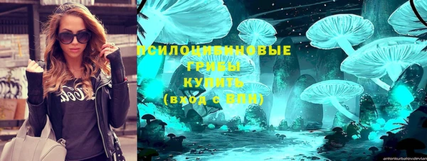 таблы Гусев