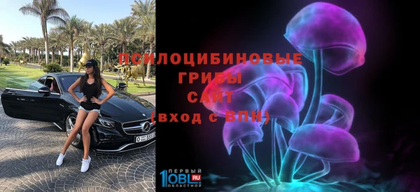 прущая мука Гусиноозёрск