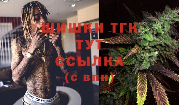 прущий лед Гусь-Хрустальный