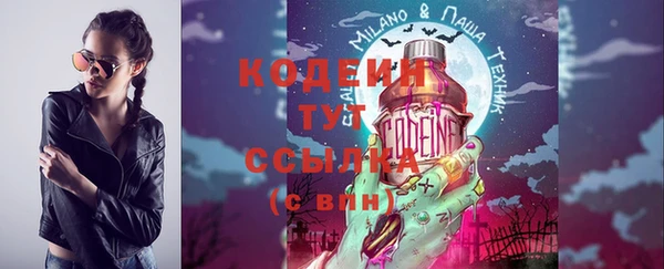 таблы Гусев